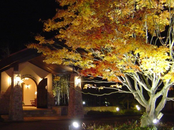 画像(紅葉したシンボルツリーとエントランス)