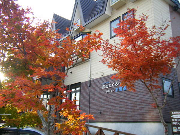 �y���V�����X�̂ӂ��낤�̊O�ώʐ^