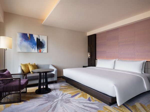 �v���~�A�����C�h�L���O