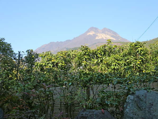 �I�V���C����̕�����������݉������܂��􉷐�D���̕��ɐ���