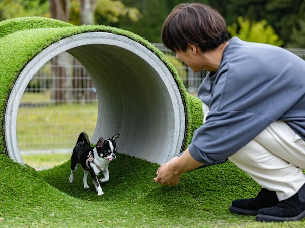 �����p���_�C�X ����Fdog park ����