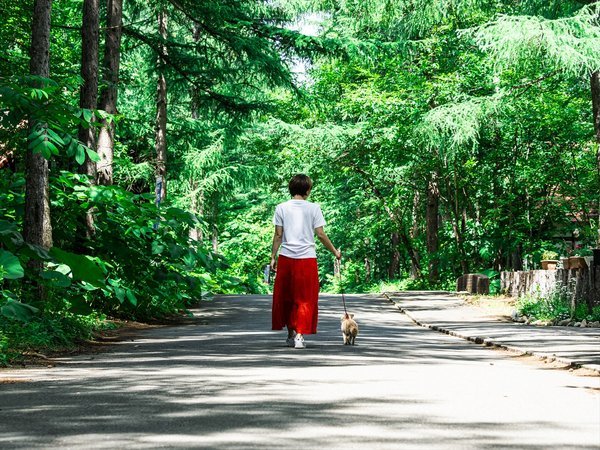 �\���E���D�� �O�����s���O���]�[�g �t�F�[���G���h���t�̎{�ݎʐ^2