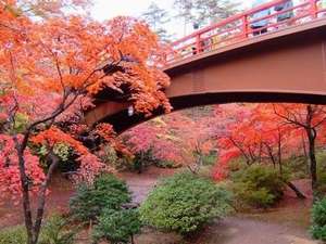 【観光・秋】弥彦公園内は目の覚めるような朱でうめつくされます。