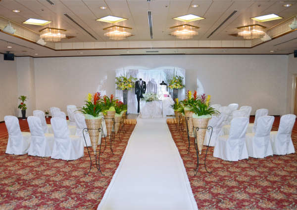 �z�e���O���[���q�� �������F�l�O��