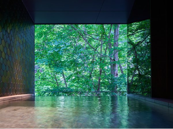 yl䂸́zagƎl̂炬BȂA₷炬̏hB