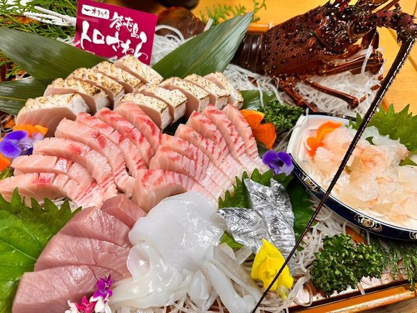 �y�H�ʌ����@�g���̏h�������z���u���g������灞����̓��������|���I���I�̉���h