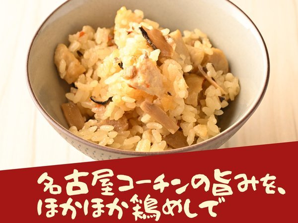 �O���C�����É������F���É��R�[�`������{�߂�