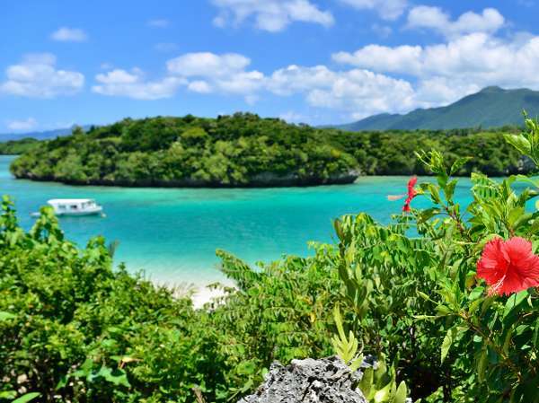 コンフォートホテル石垣島 宿泊予約は じゃらんnet