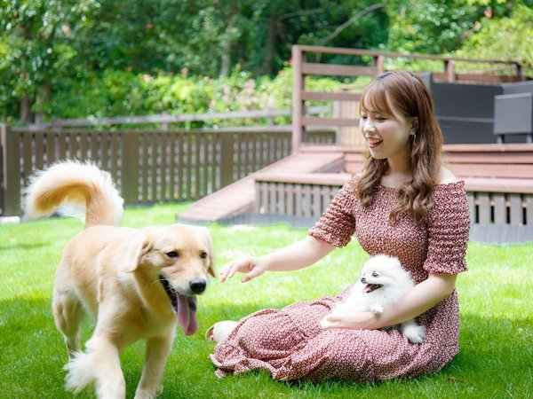 �y�����Ɣ��΂މ��򃊃]�[�g �E�u�h�̐X �ɓ������z��^�����ꏏ�ɔ��܂��y�b�g�h�B�ɓ��̃o�������򃊃]�[�g��