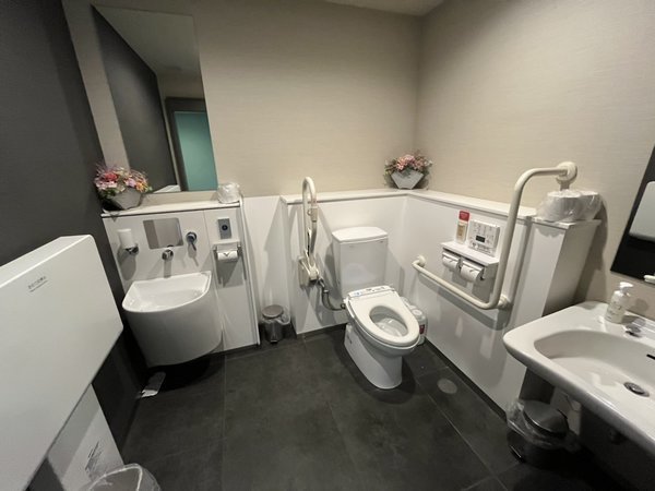 �V�R���� ���_�̓� �h�[�~�[�C���o�_�F��1�K�����