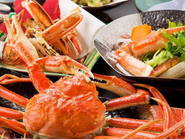 ỷBh@y@YURAKUzy{̃JjOzΕClC뉀͂ޖ̓h