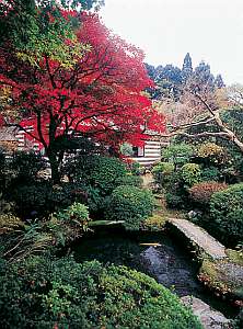 Surroundings・Views