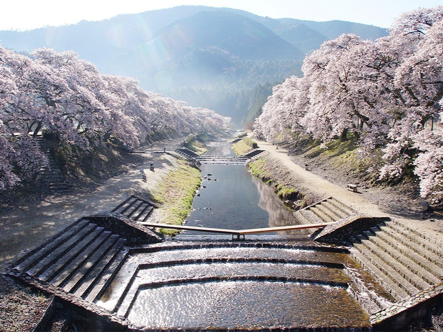 Surroundings・Views