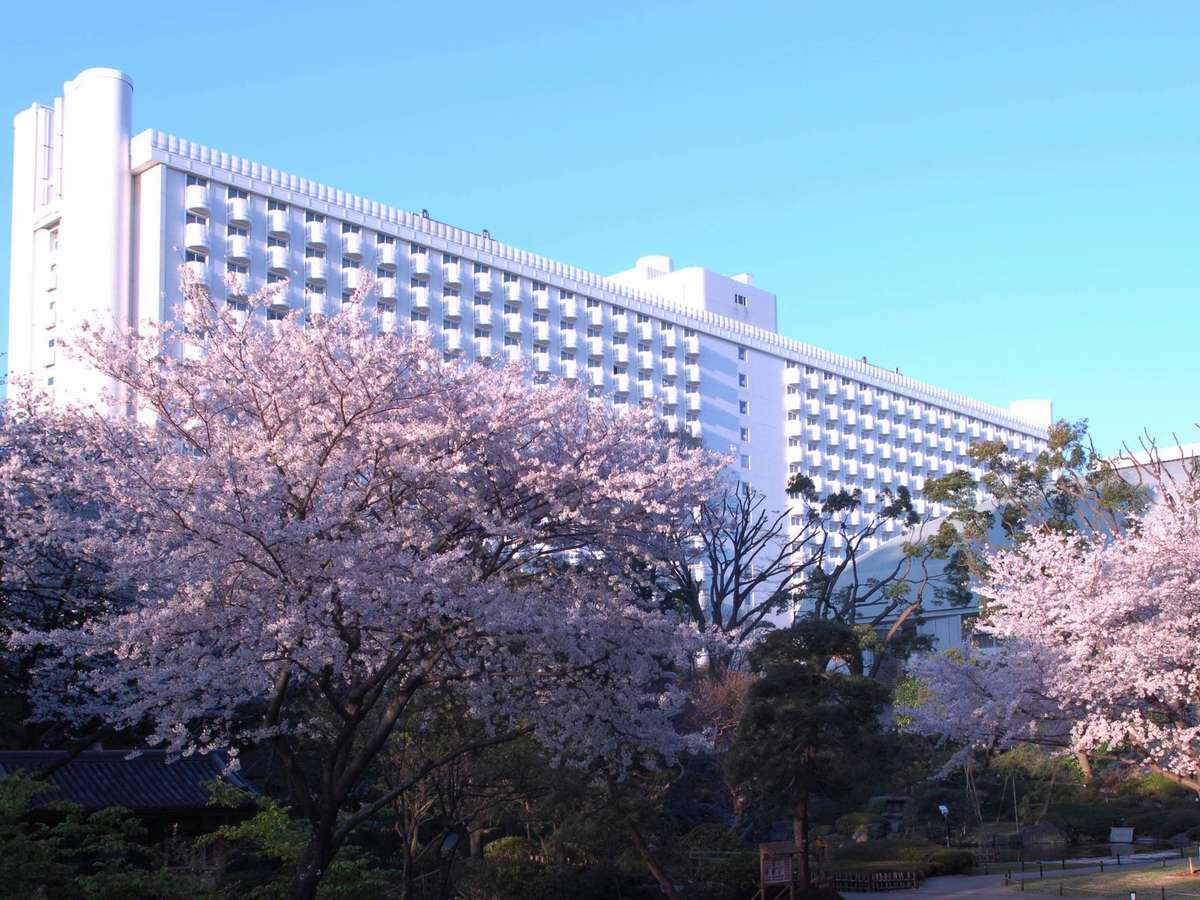 桜の時期のグランドプリンスホテル新高輪