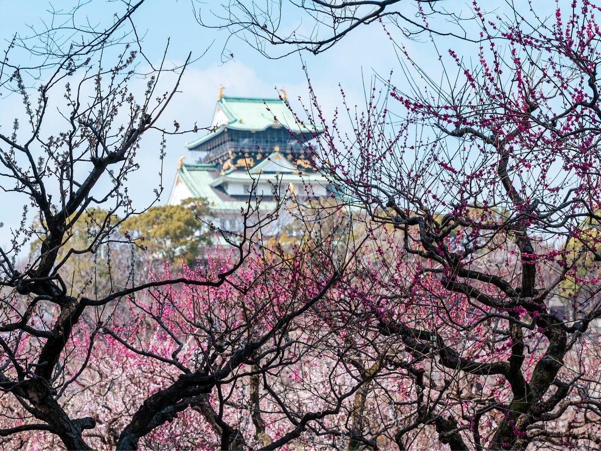 环境・风景