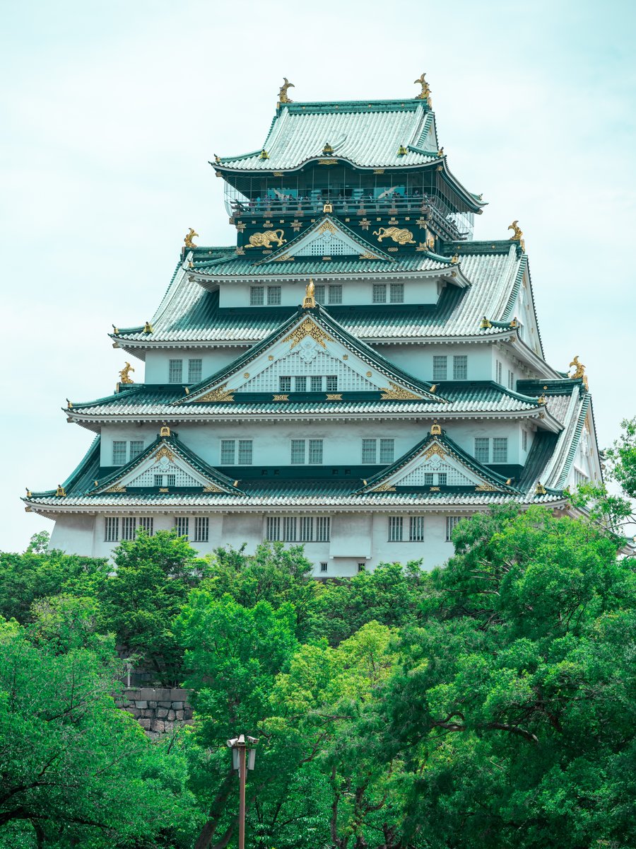 环境・风景
