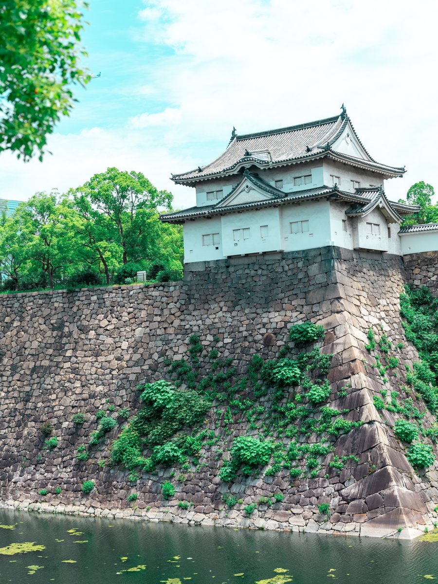 环境・风景