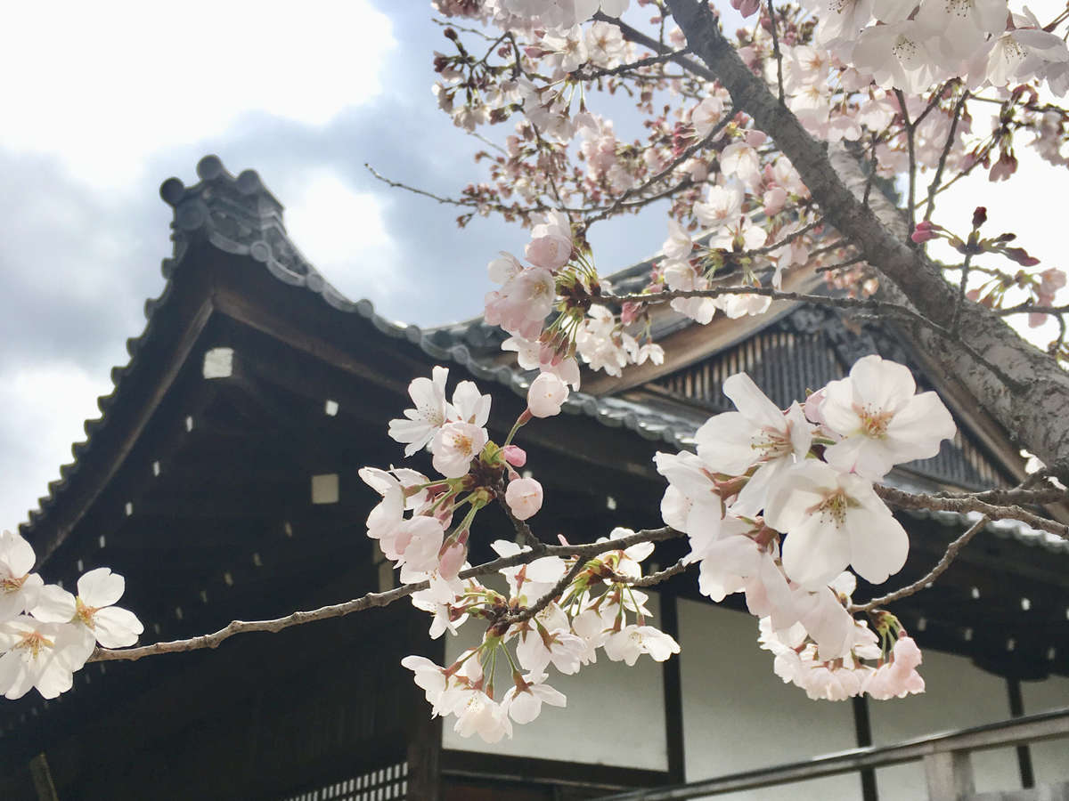 주변・경관