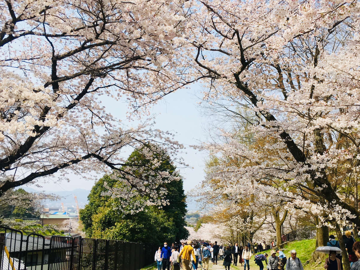 주변・경관
