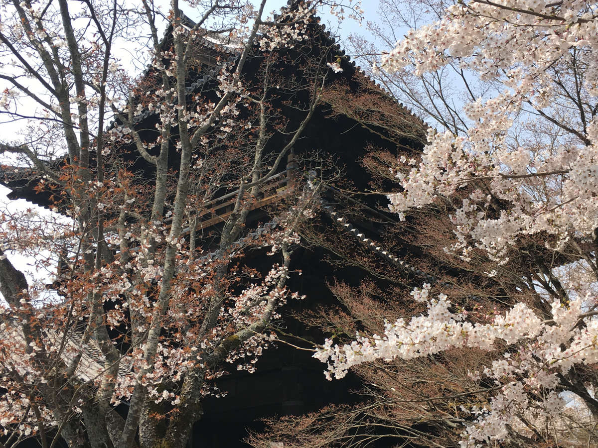 주변・경관