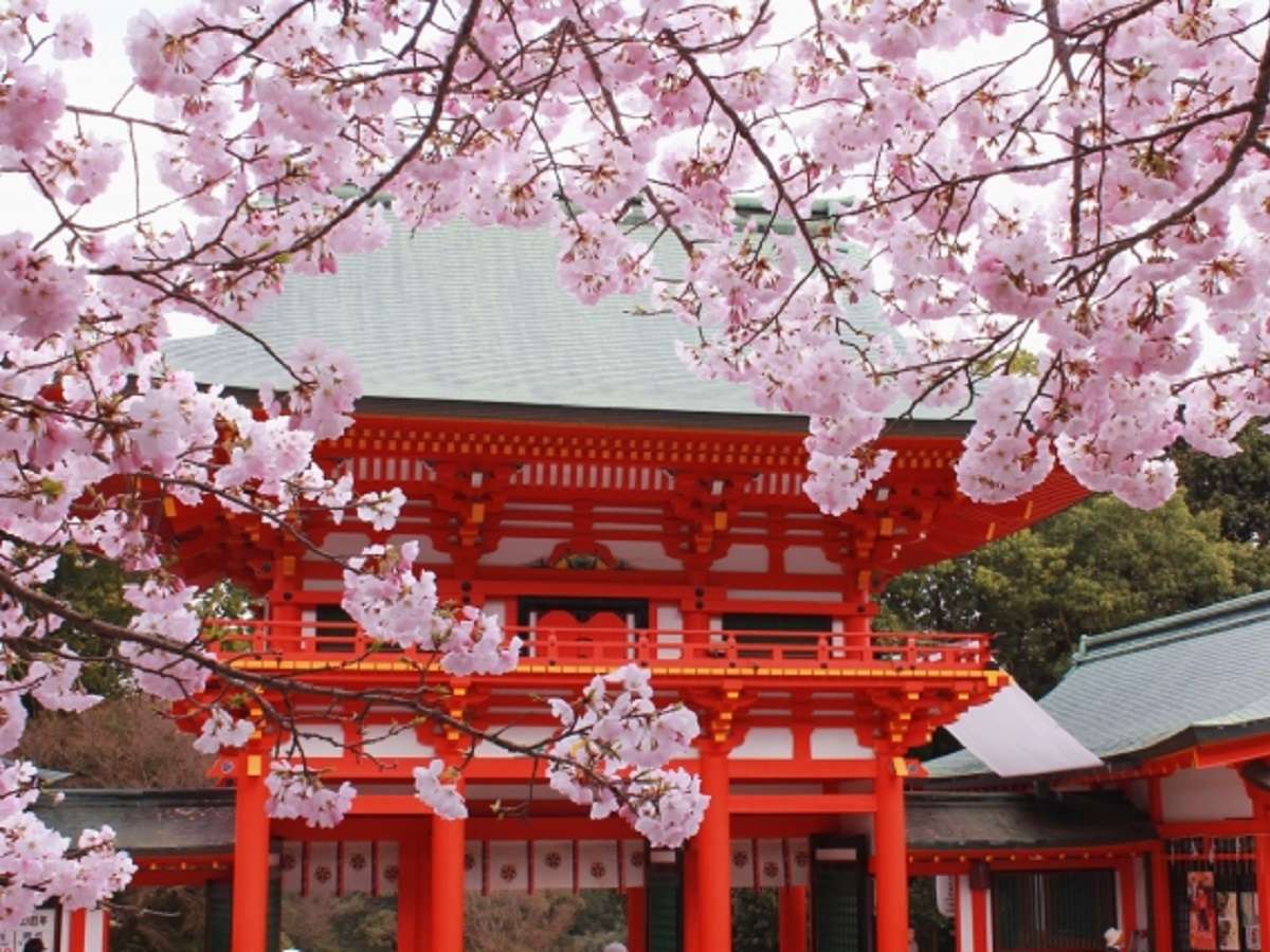 주변・경관