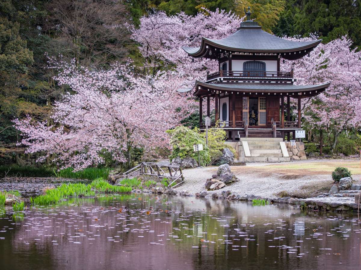 주변・경관