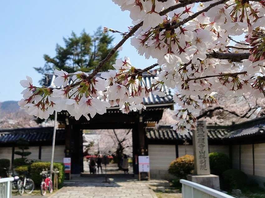 주변・경관