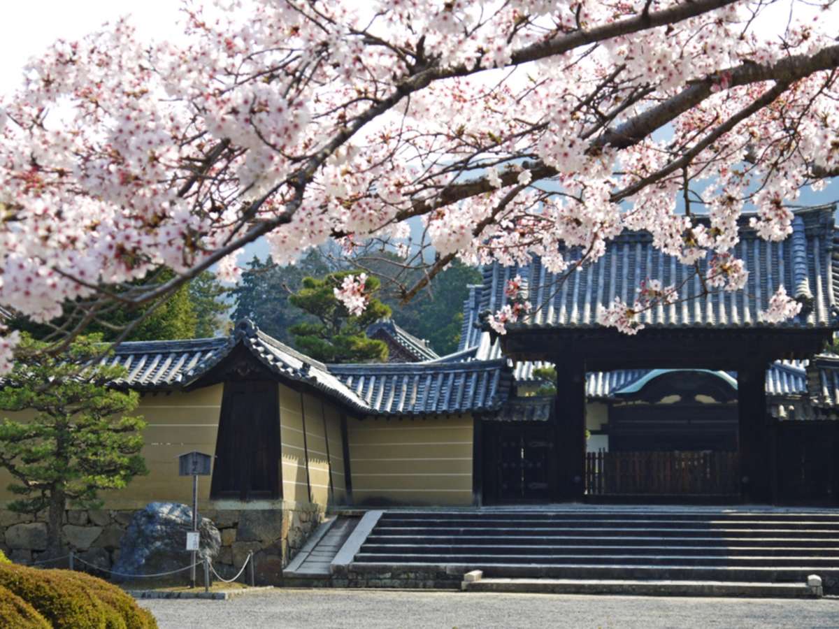 주변・경관