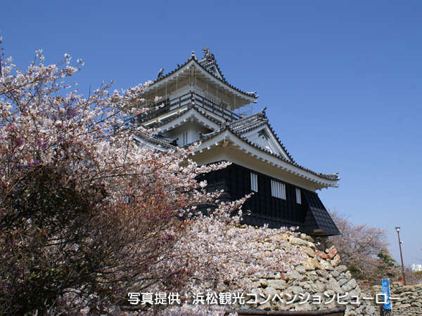浜松城の桜は、3月下旬から天守閣を囲むように咲き誇り、夜桜も楽しめます。
