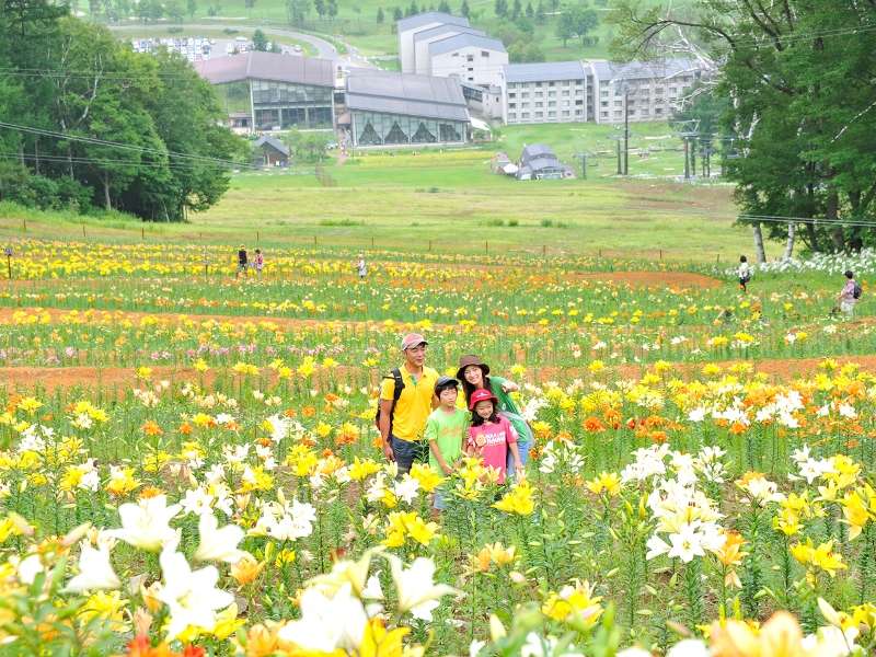 ◆早咲きから遅咲きまで100万輪のゆり園は7月下旬～8月中旬頃まで楽しめます。