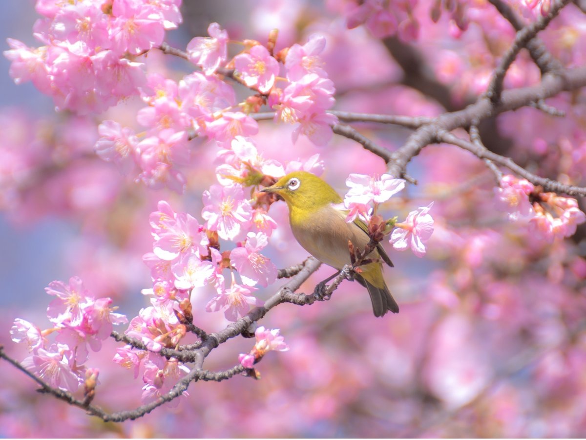 주변・경관