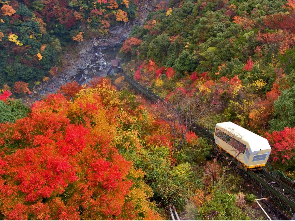■ケーブルカー■紅葉の祖谷渓～車窓から錦秋の秋を愉しむ