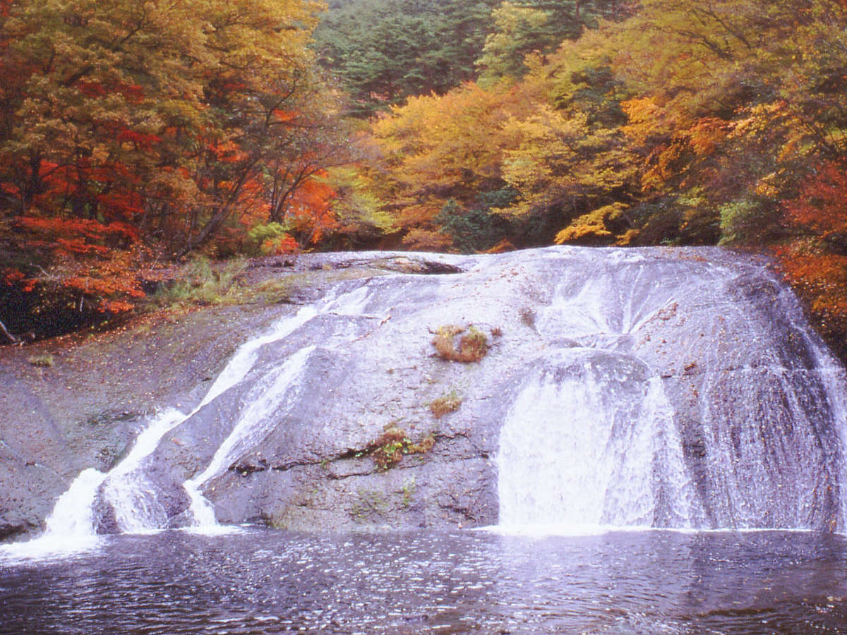 Surroundings・Views