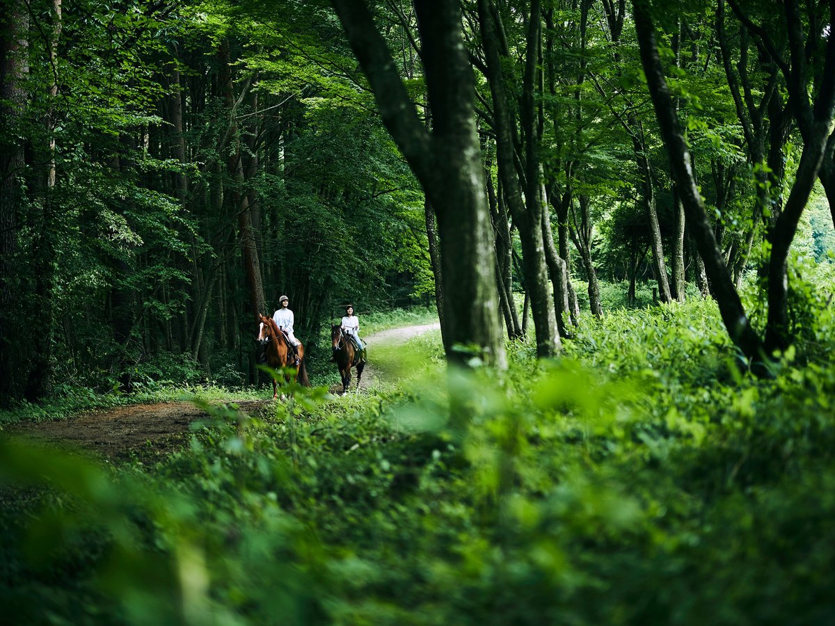 【森林乗馬】「馬のまち」小淵沢で特別な乗馬体験を