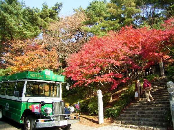 Surroundings・Views