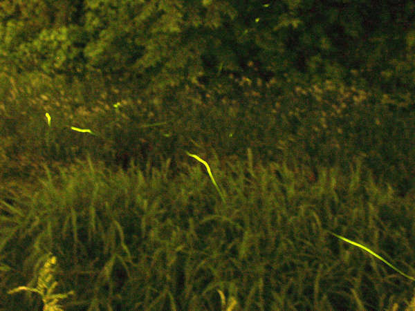 Surroundings・Views