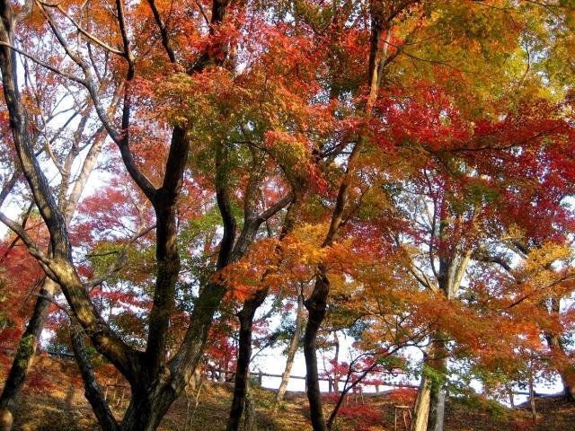 Surroundings・Views