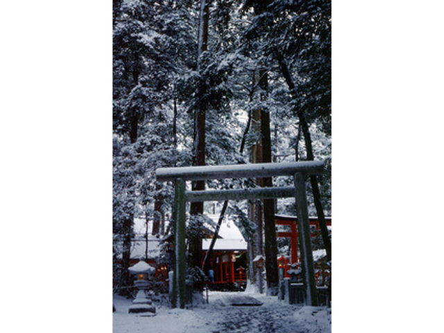 Surroundings・Views