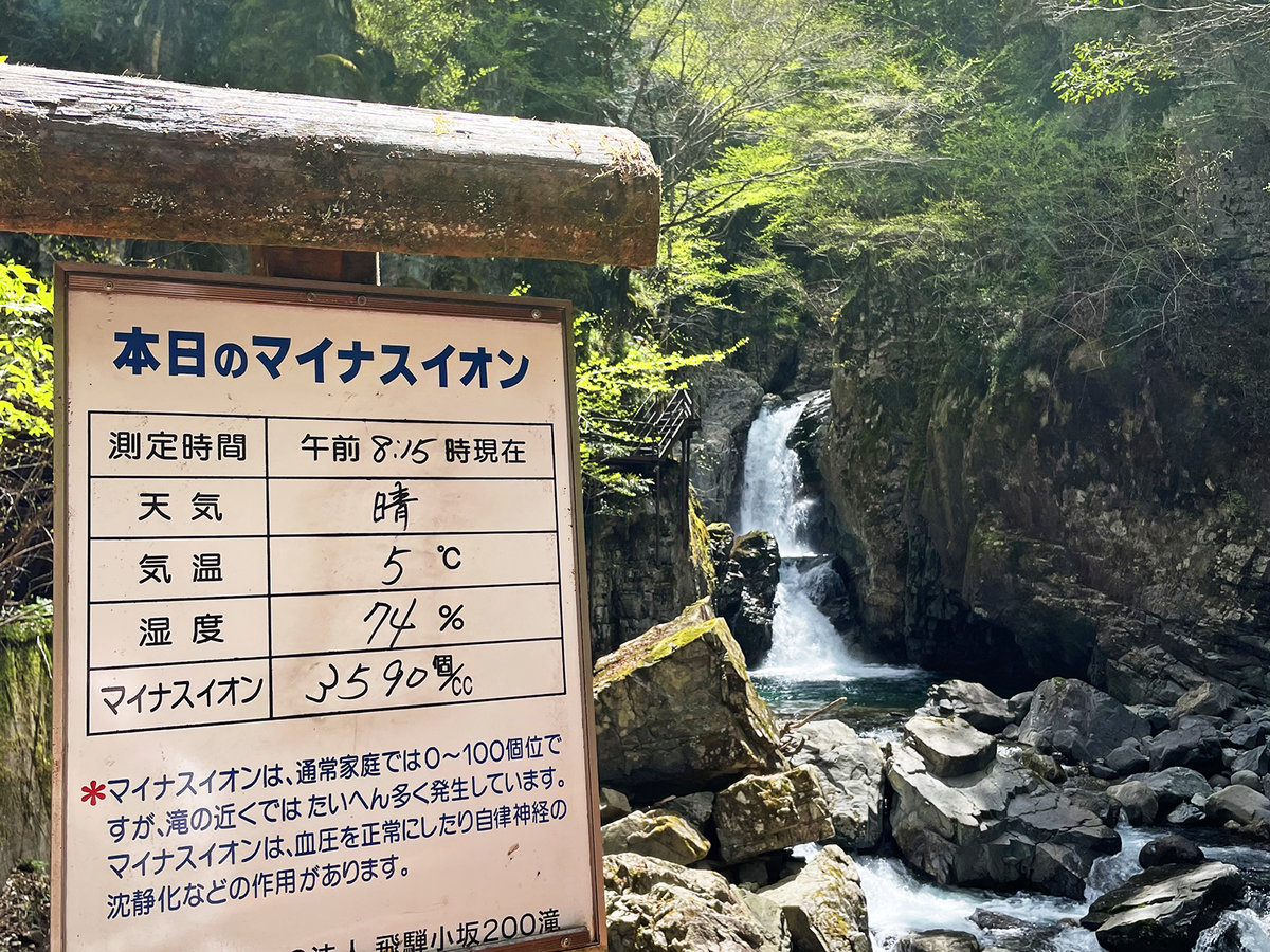 Surroundings・Views