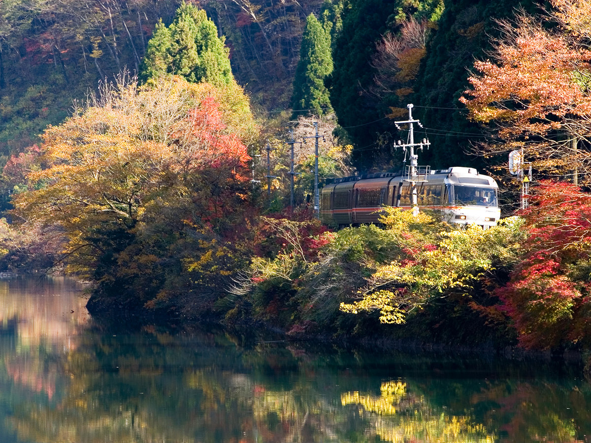 Surroundings・Views