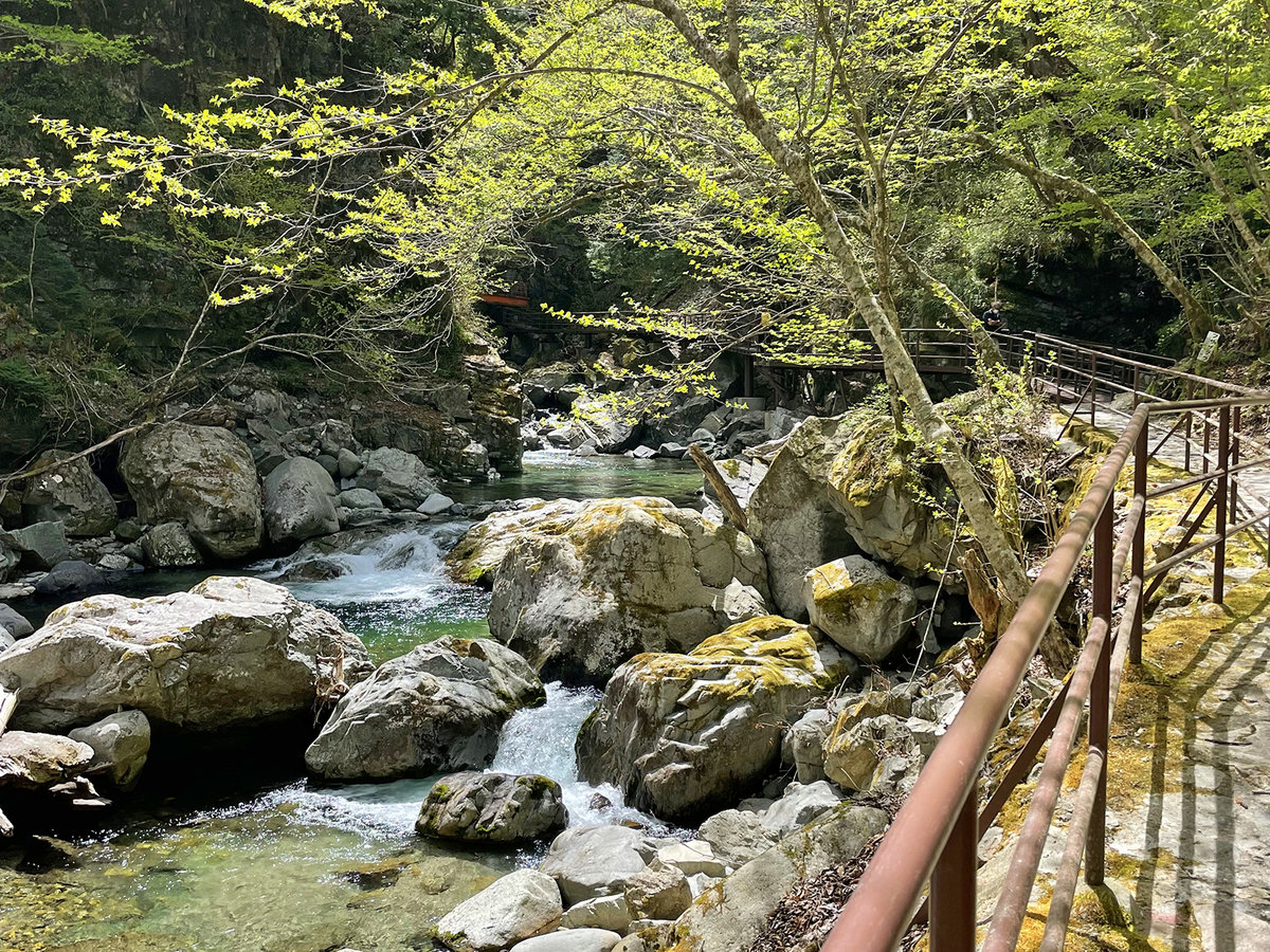 Surroundings・Views