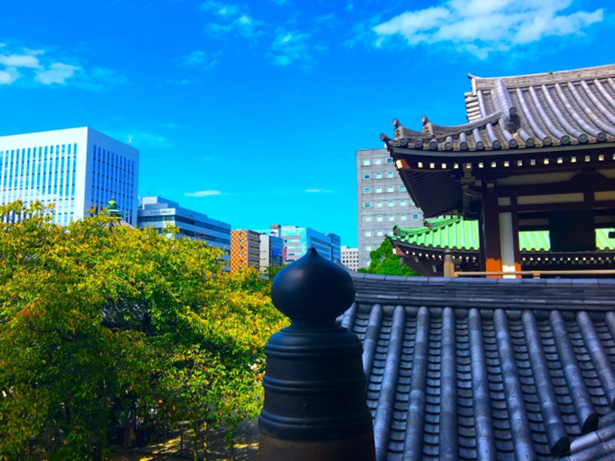 Surroundings・Views
