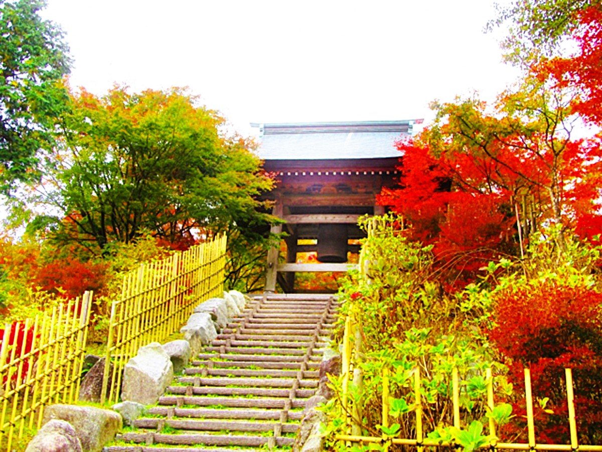Surroundings・Views