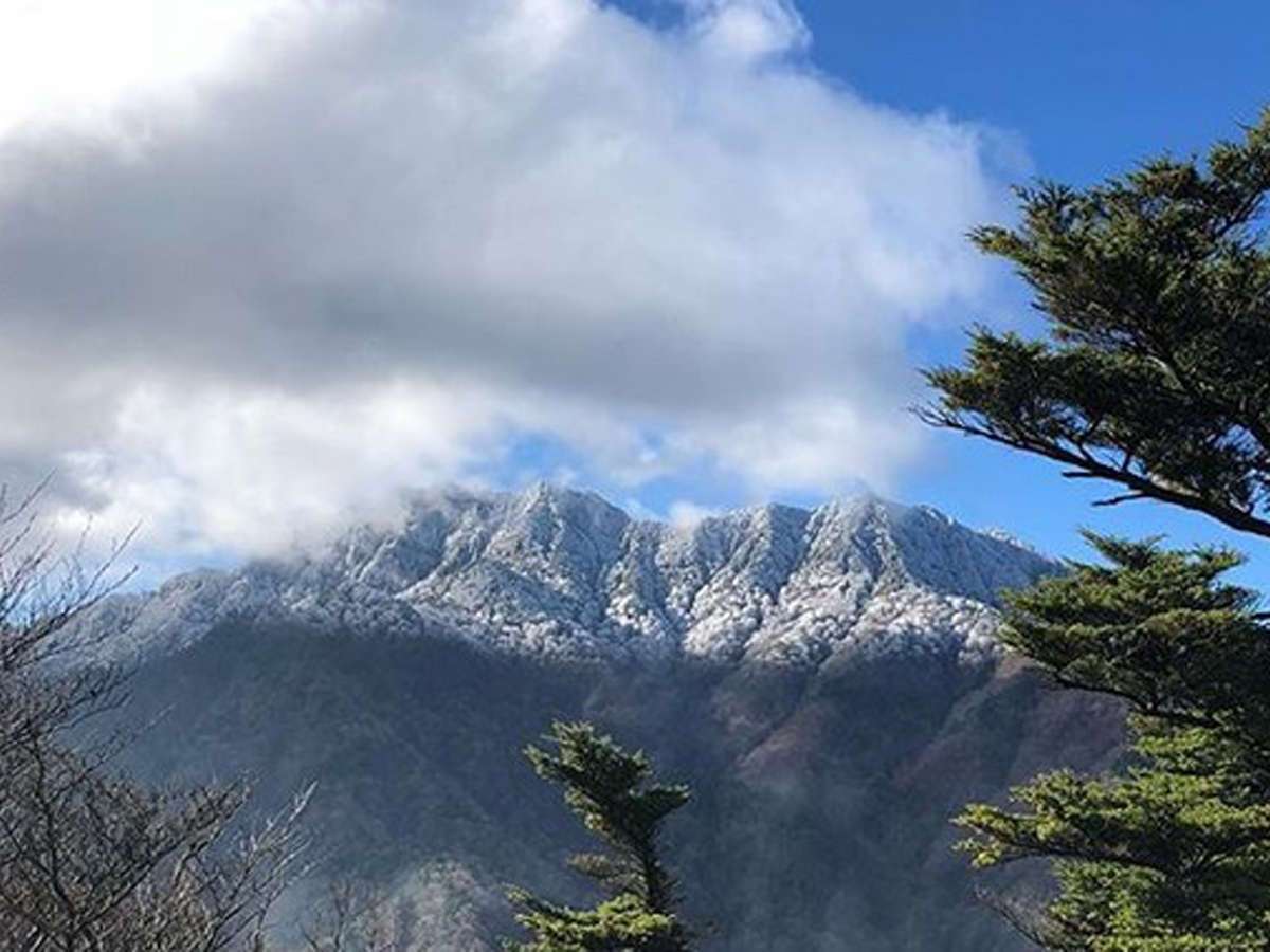 冬の石鎚山では霧氷や地中から生える霜柱など、冬ならではの神秘的な景観を目にすることができます。