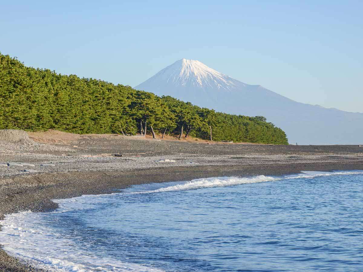 *【周辺観光】三保松原/ここから眺める富士山は格別