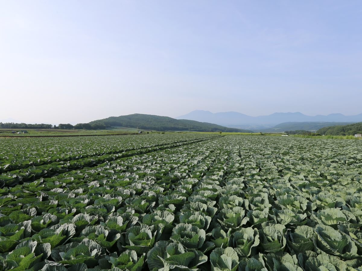 環境・風景