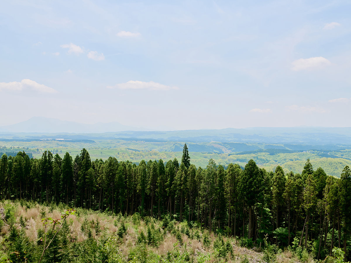 Surroundings・Views