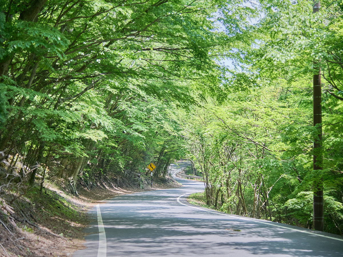 Surroundings・Views