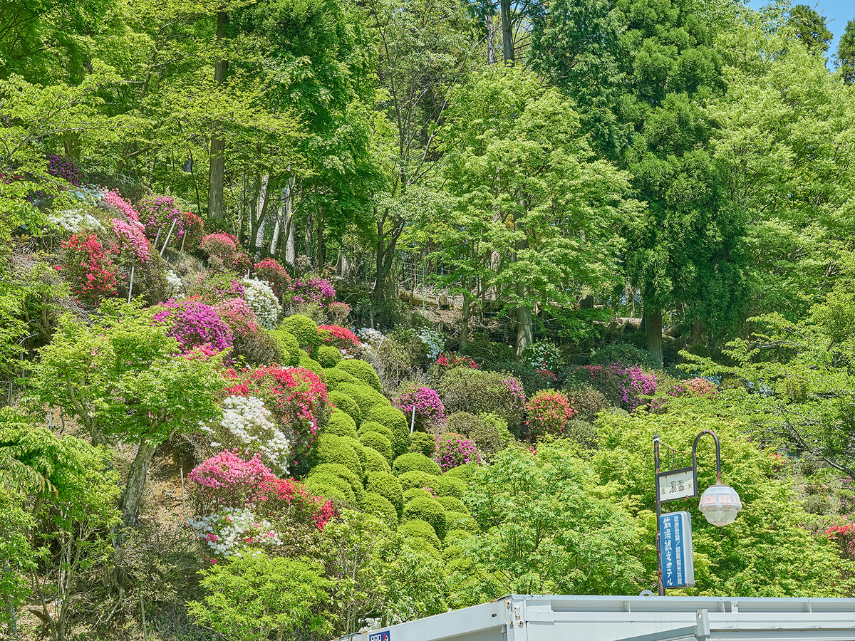 Surroundings・Views