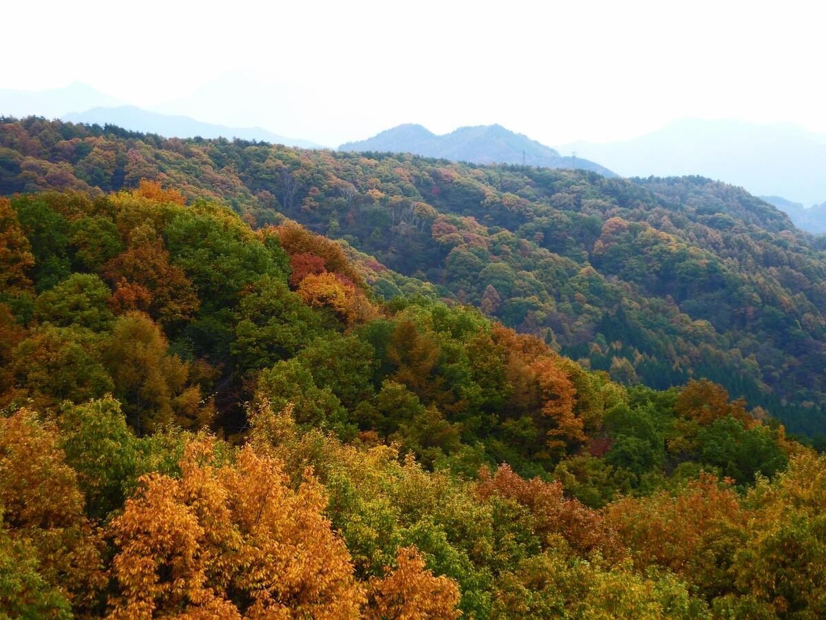 Surroundings・Views